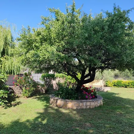 Apartment Mimosa Garden 1 Gouvia